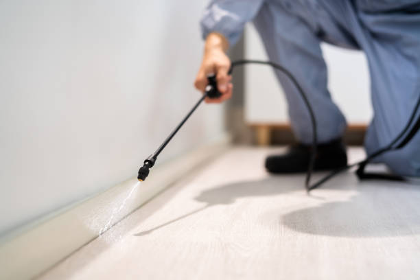 Bed Bug Pre-Treatment Preparation Assessment in Cape Carteret
