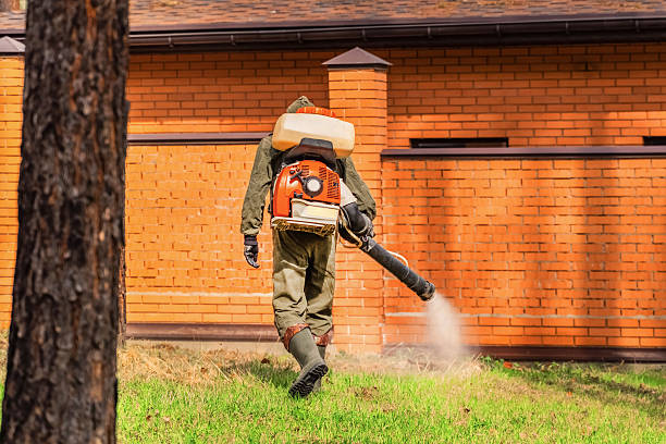 Bed Bug Clearance Verification and Documentation in Cape Carteret